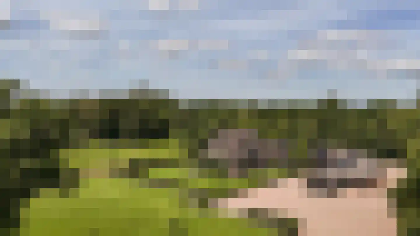 Hazendonkseweg 12 Lunteren thumbnail 138