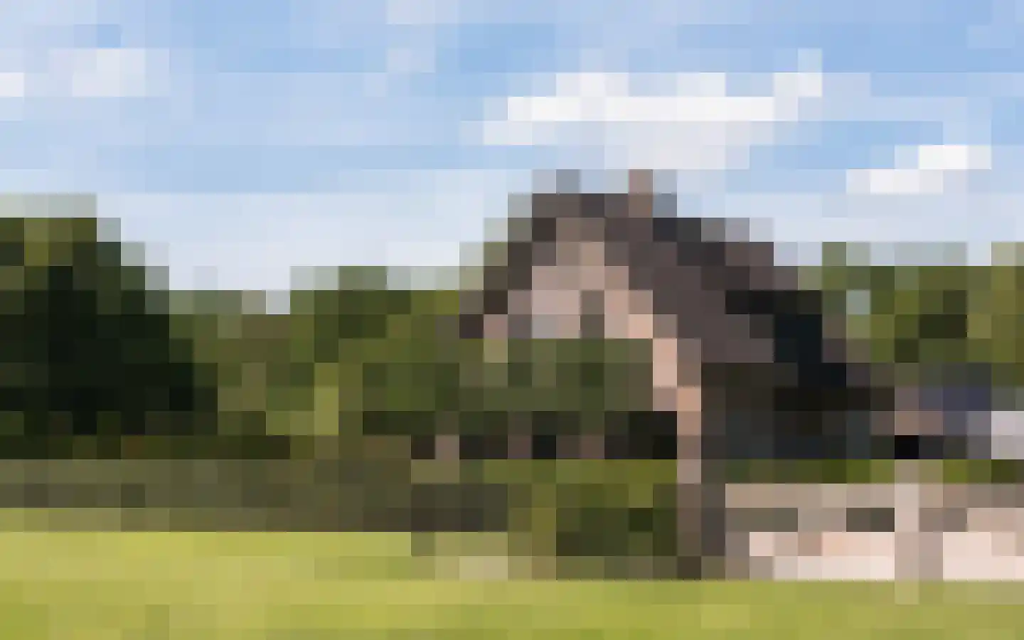 Hazendonkseweg 12 Lunteren thumbnail 141