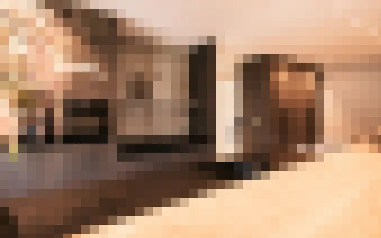 Hazendonkseweg 12 Lunteren thumbnail 4