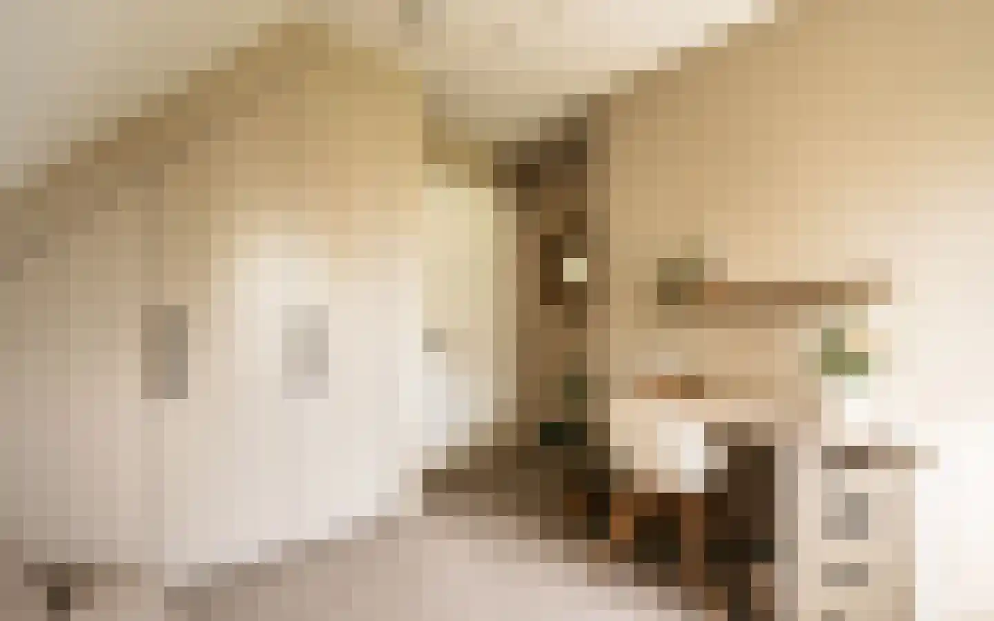 Hazendonkseweg 12 Lunteren thumbnail 44