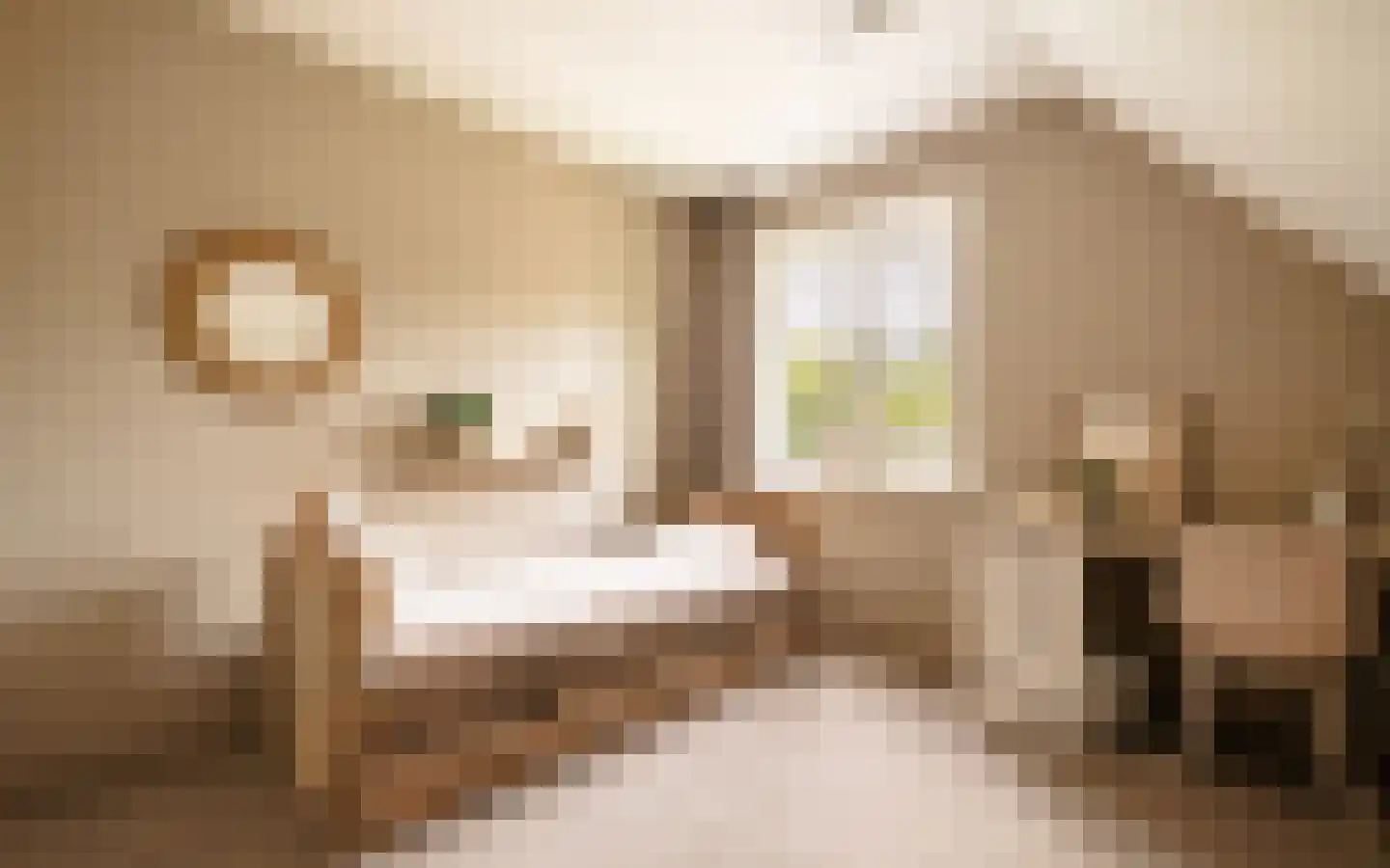 Hazendonkseweg 12 Lunteren thumbnail 49