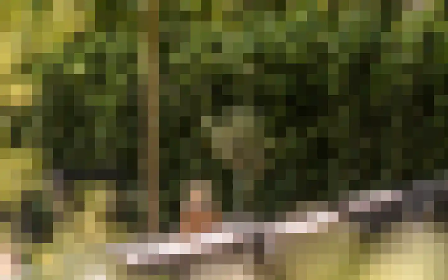 Hazendonkseweg 12 Lunteren thumbnail 5