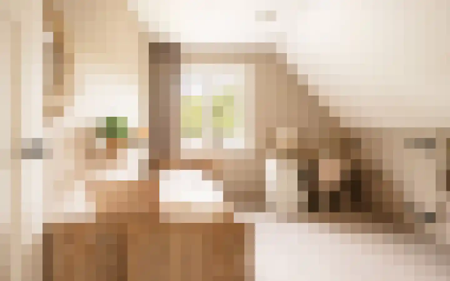 Hazendonkseweg 12 Lunteren thumbnail 51