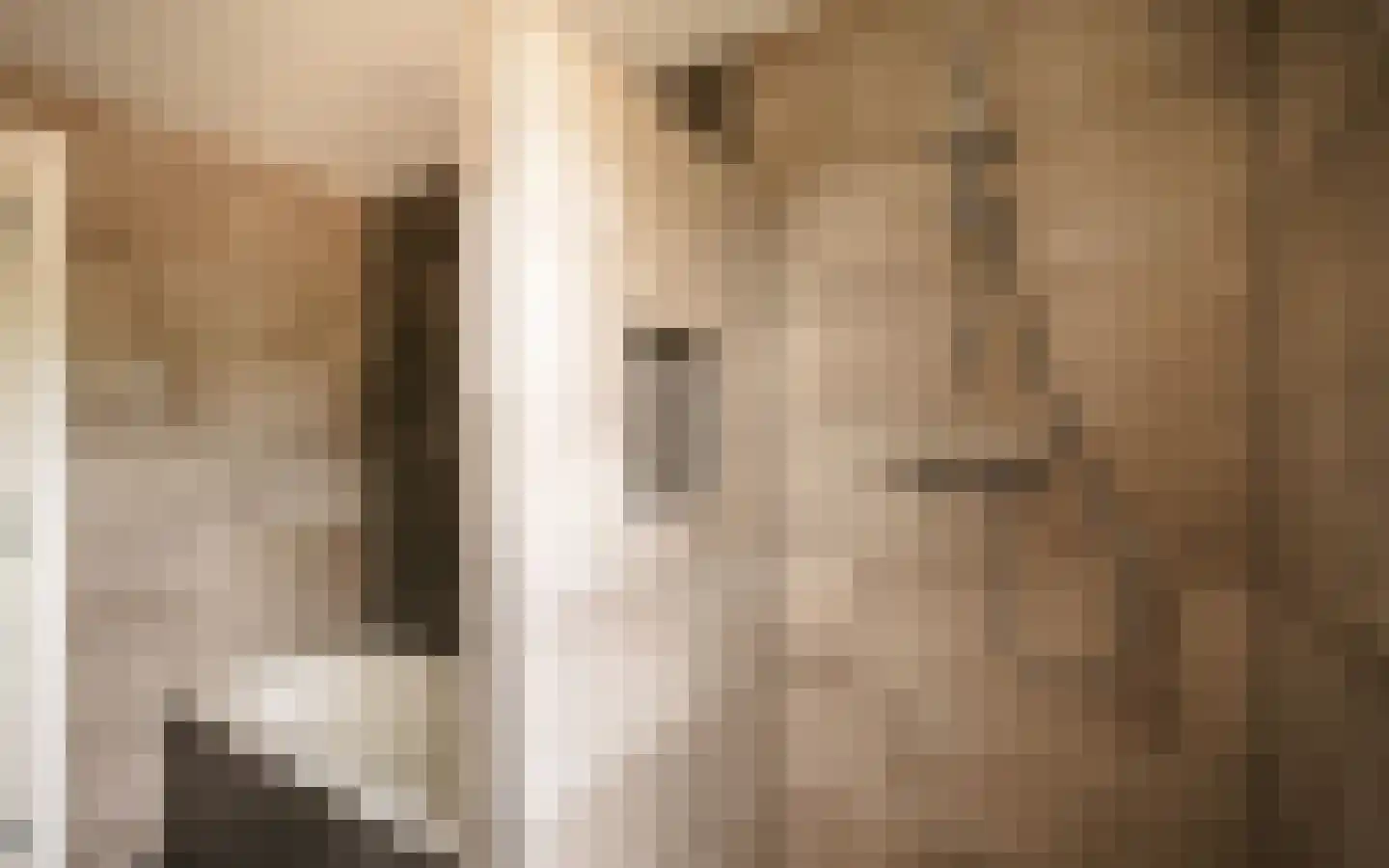 Hazendonkseweg 12 Lunteren thumbnail 54
