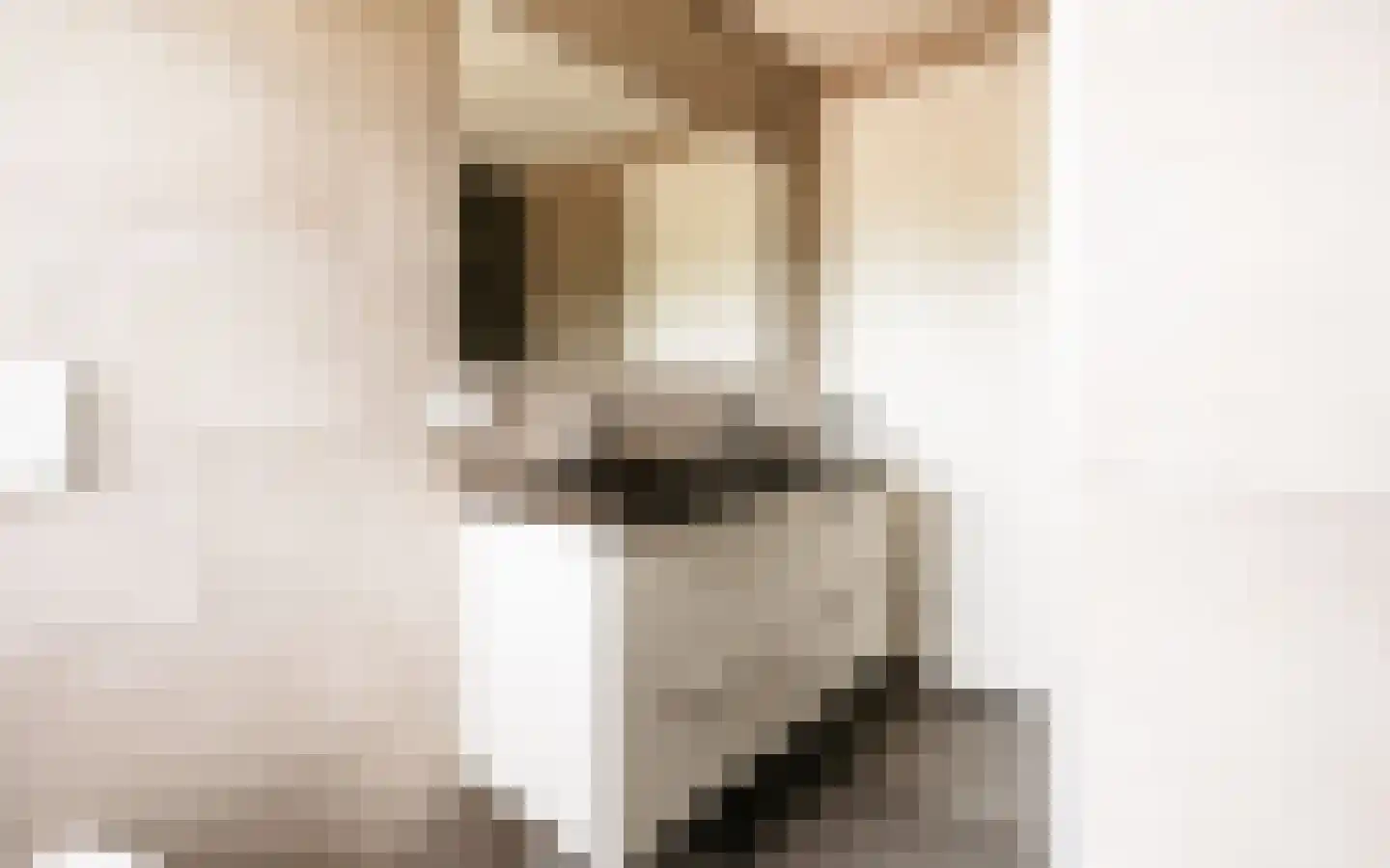 Hazendonkseweg 12 Lunteren thumbnail 55