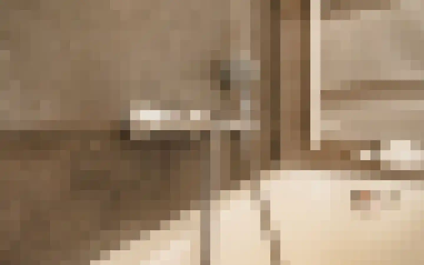 Hazendonkseweg 12 Lunteren thumbnail 56