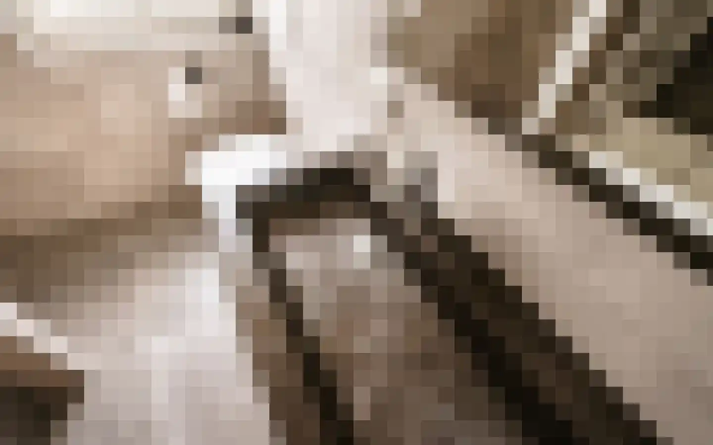 Hazendonkseweg 12 Lunteren thumbnail 57