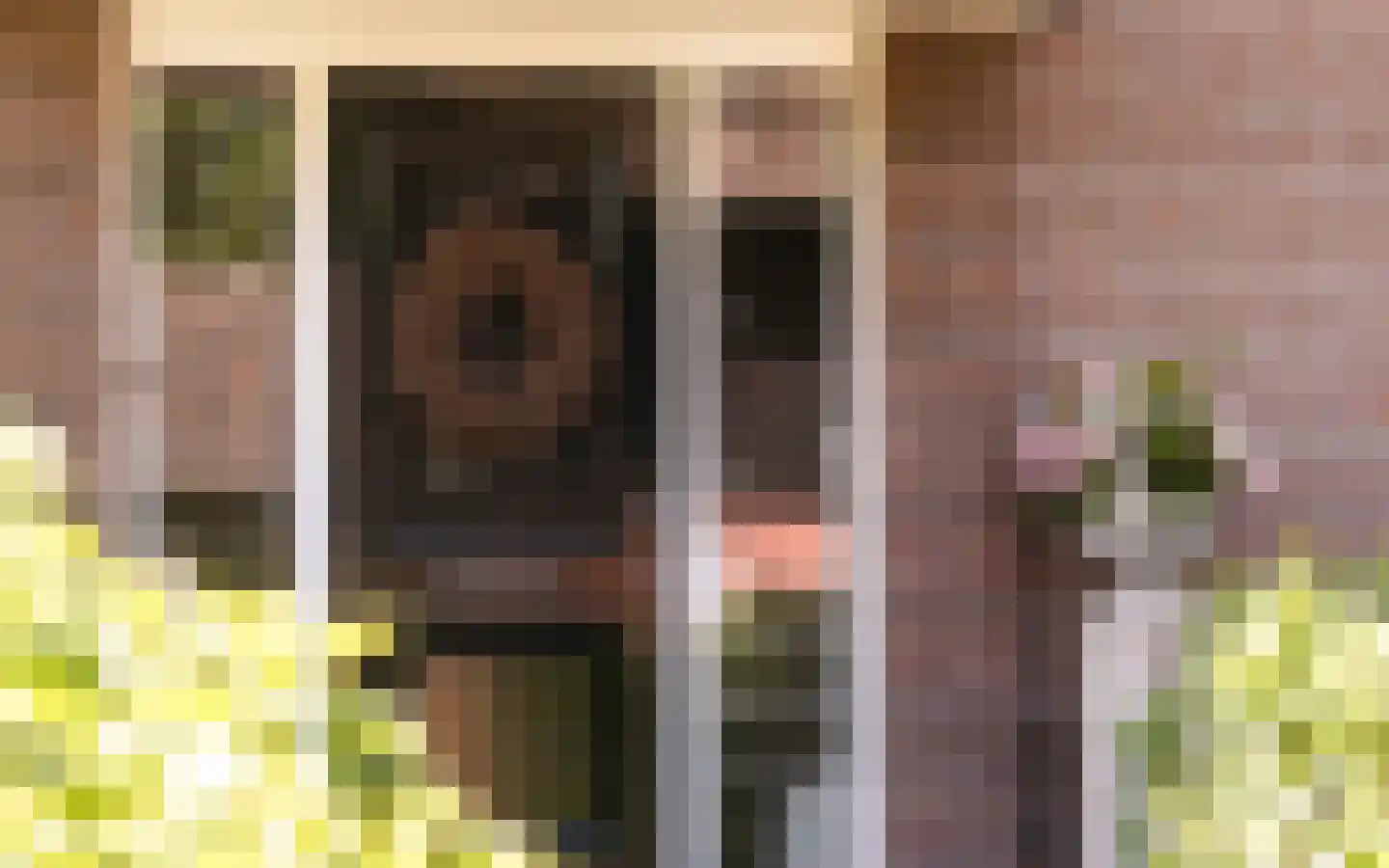 Hazendonkseweg 12 Lunteren thumbnail 6