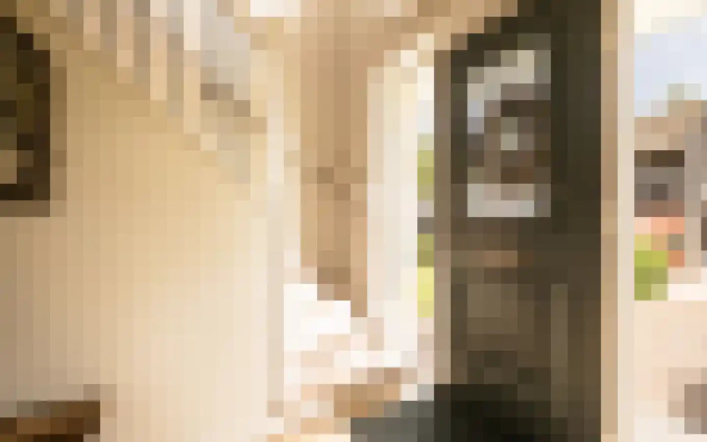 Hazendonkseweg 12 Lunteren thumbnail 7