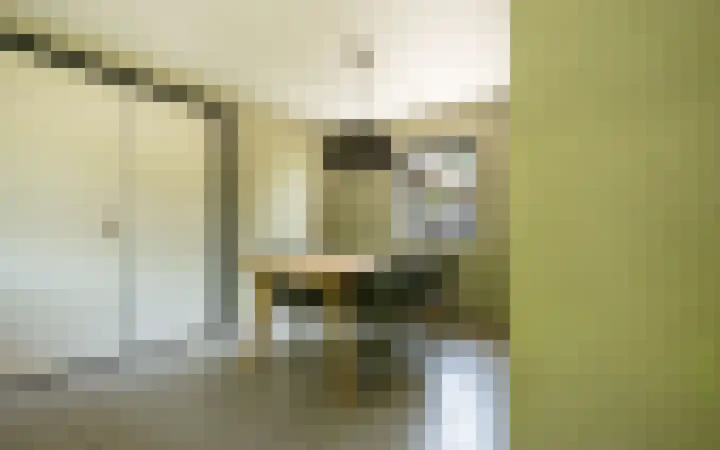 Hazendonkseweg 12 Lunteren thumbnail 71