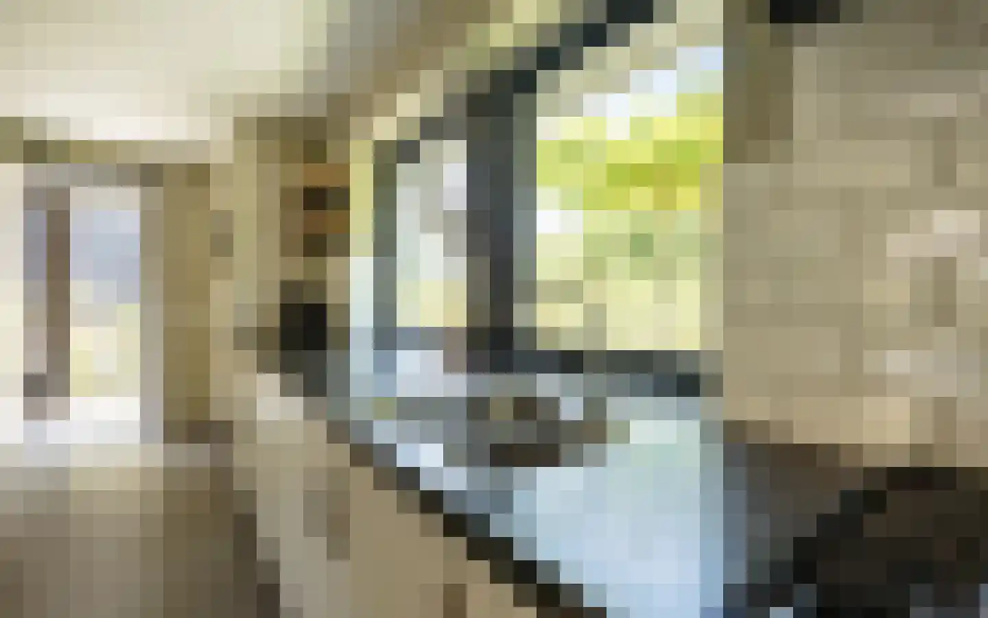Hazendonkseweg 12 Lunteren thumbnail 73