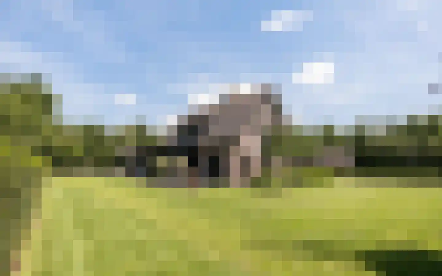Hazendonkseweg 12 Lunteren thumbnail 79