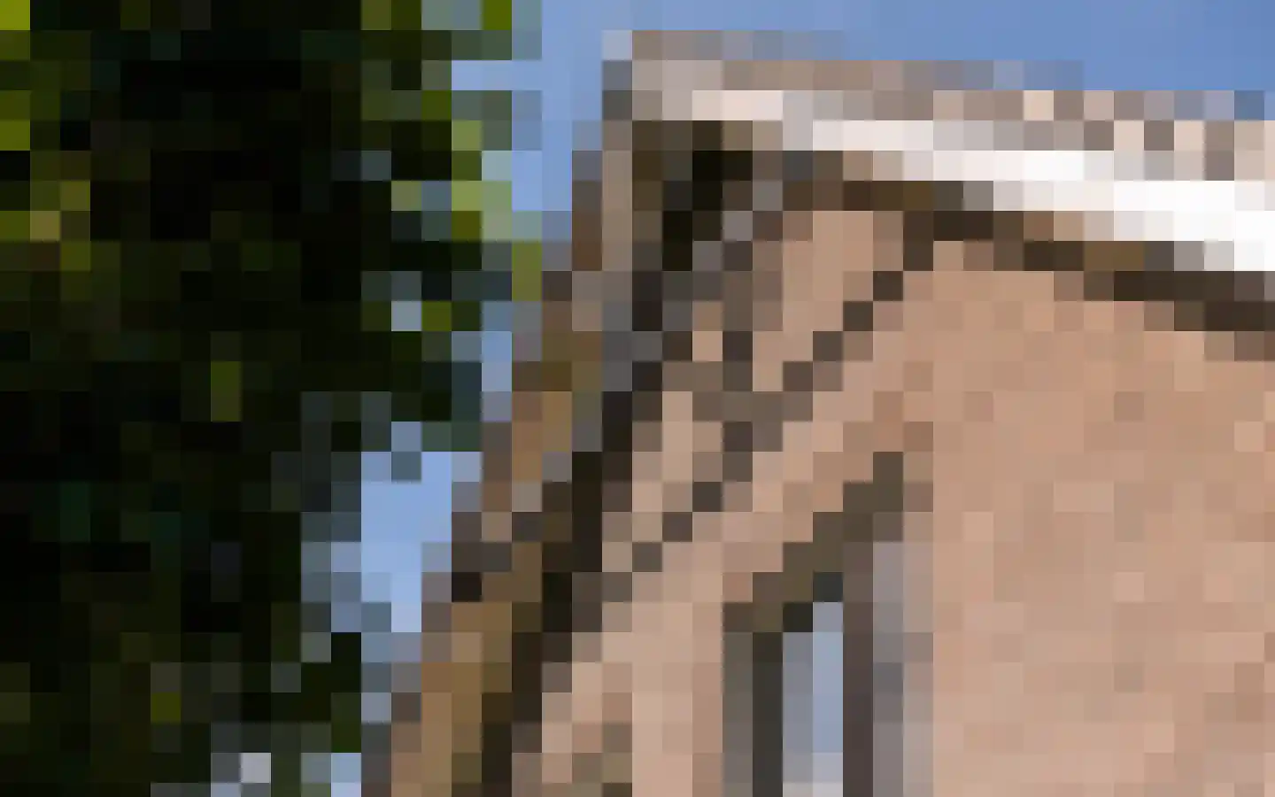 Hazendonkseweg 12 Lunteren thumbnail 82