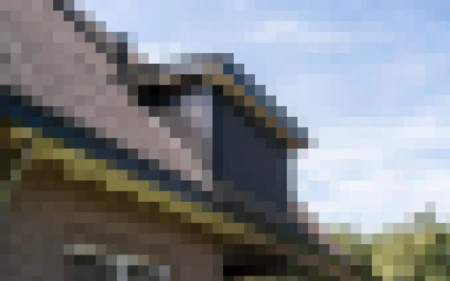 Hazendonkseweg 12 Lunteren thumbnail 85