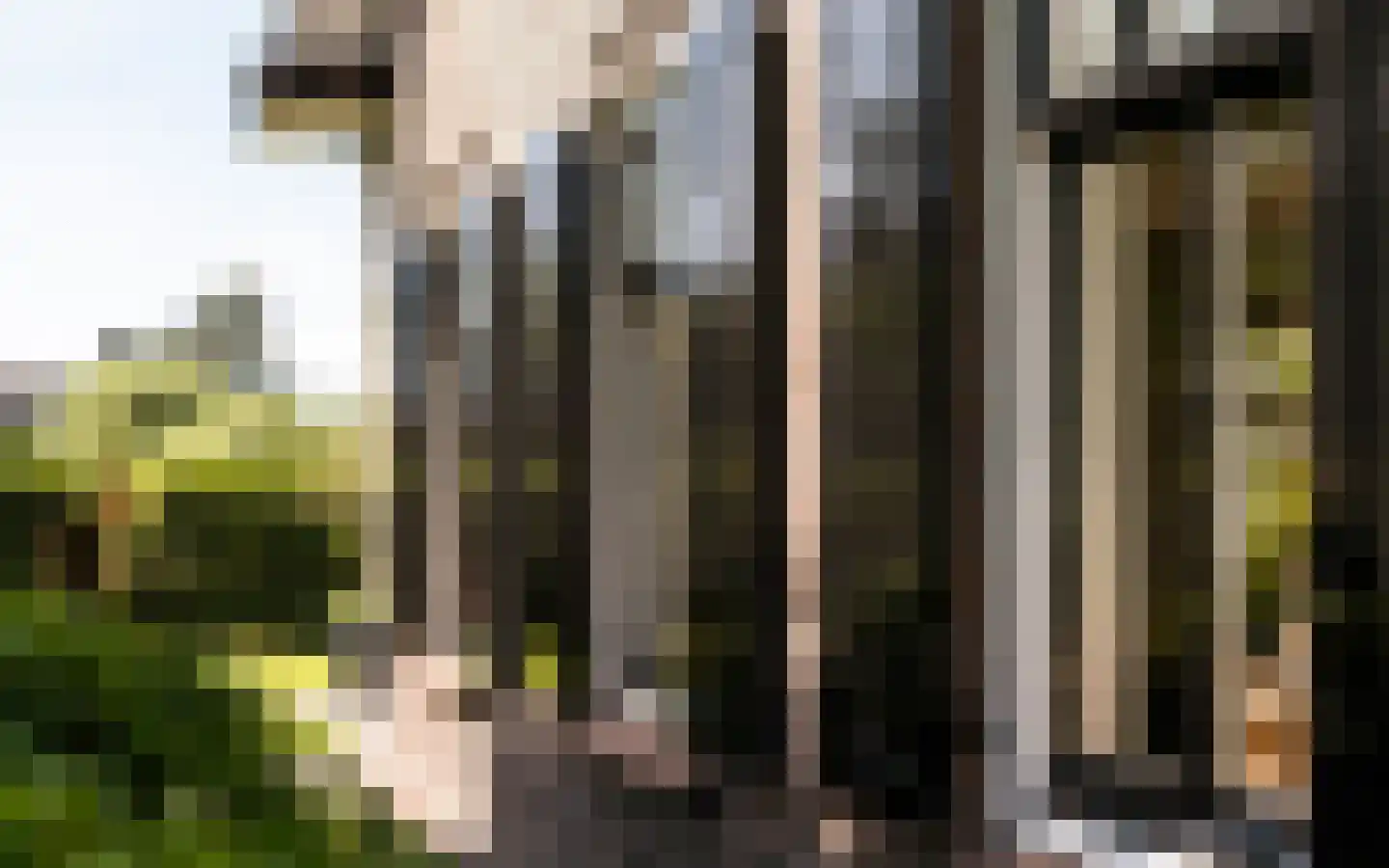 Hazendonkseweg 12 Lunteren thumbnail 86