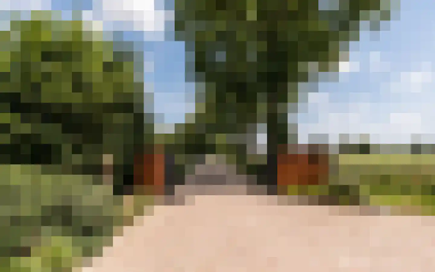 Hazendonkseweg 12 Lunteren thumbnail 91