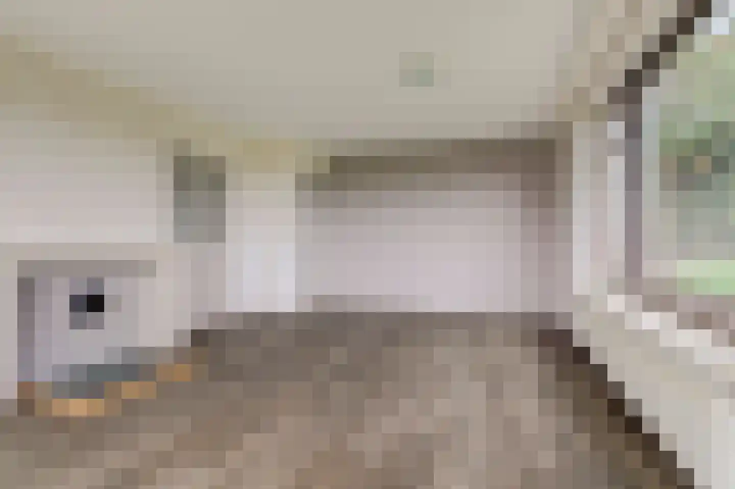 Hazendonkseweg 25 Lunteren thumbnail 15
