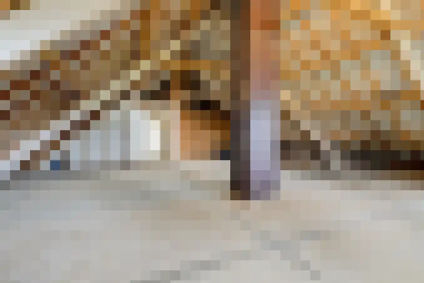 Hazendonkseweg 25 Lunteren thumbnail 26
