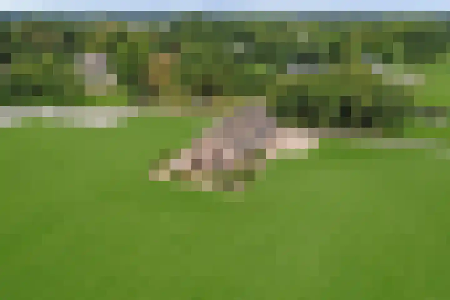 Hazendonkseweg 25 Lunteren thumbnail 7