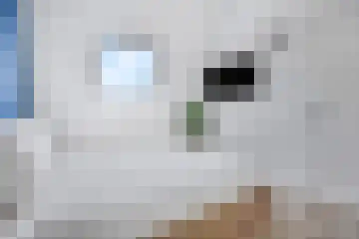 Hazenduinen 14 Zeewolde thumbnail 15