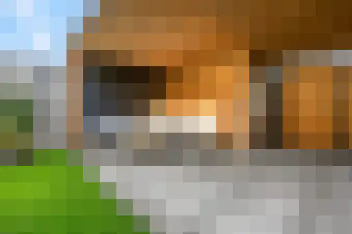 Hazenduinen 14 Zeewolde thumbnail 25