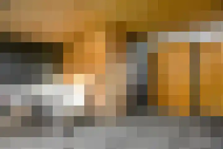 Hazenduinen 14 Zeewolde thumbnail 26