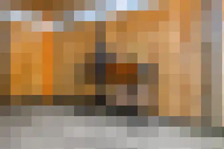 Hazenduinen 14 Zeewolde thumbnail 27