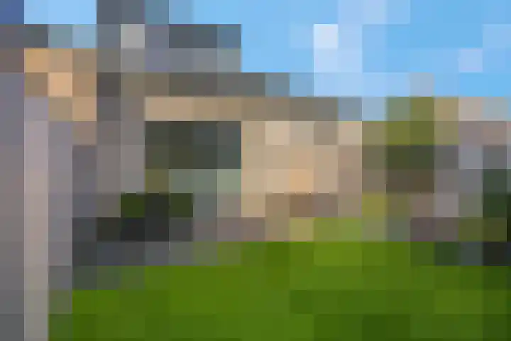 Hazenduinen 14 Zeewolde thumbnail 30