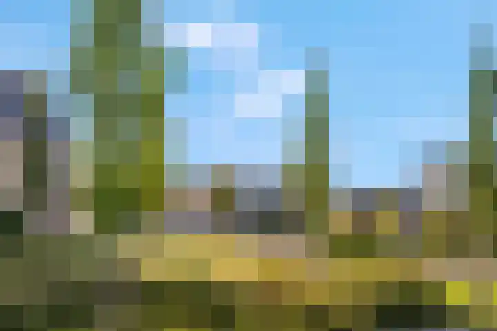 Hazenduinen 14 Zeewolde thumbnail 34