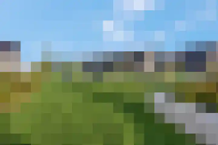 Hazenduinen 14 Zeewolde thumbnail 35