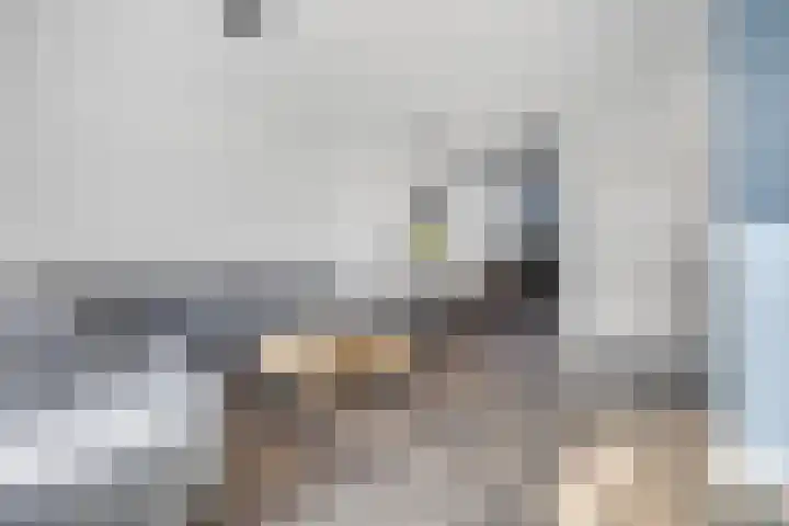 Hazenduinen 14 Zeewolde thumbnail 4