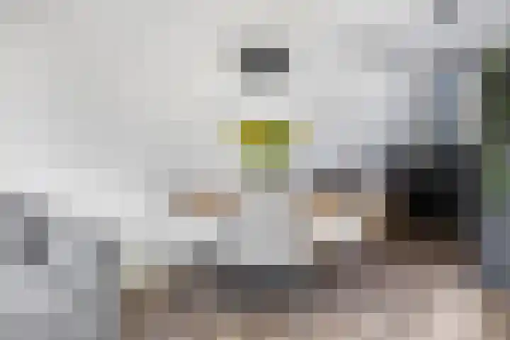 Hazenduinen 14 Zeewolde thumbnail 6