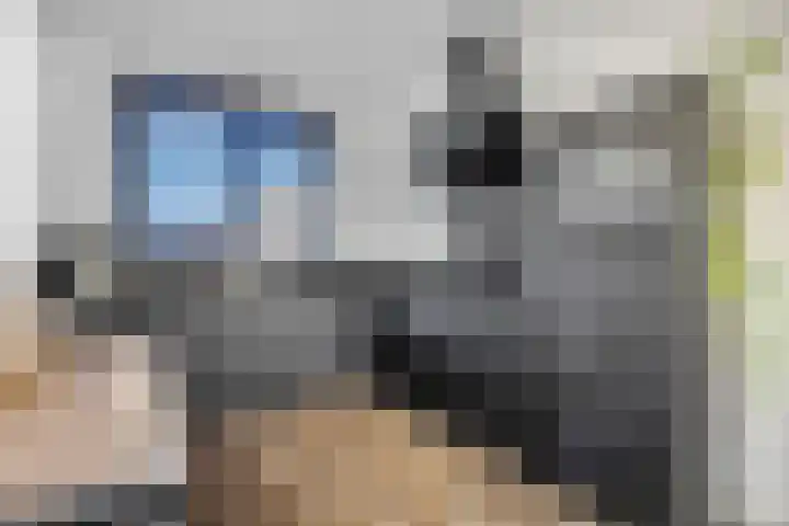 Hazenduinen 14 Zeewolde thumbnail 7
