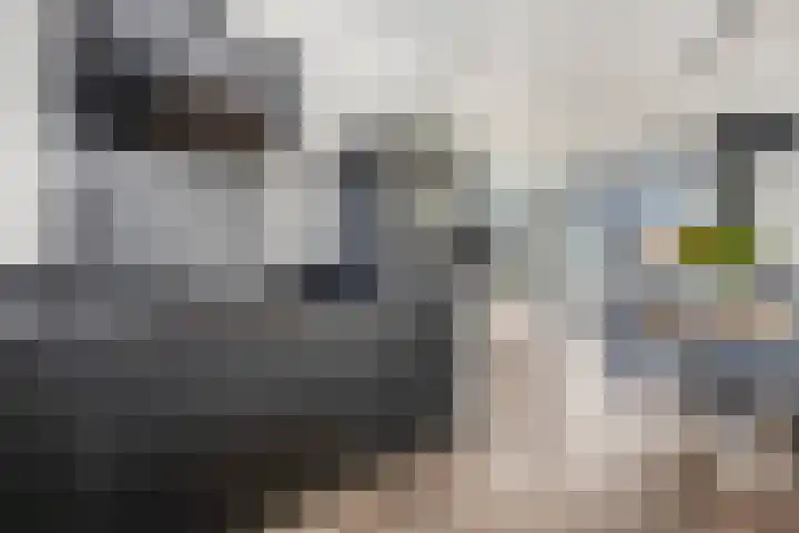 Hazenduinen 14 Zeewolde thumbnail 8