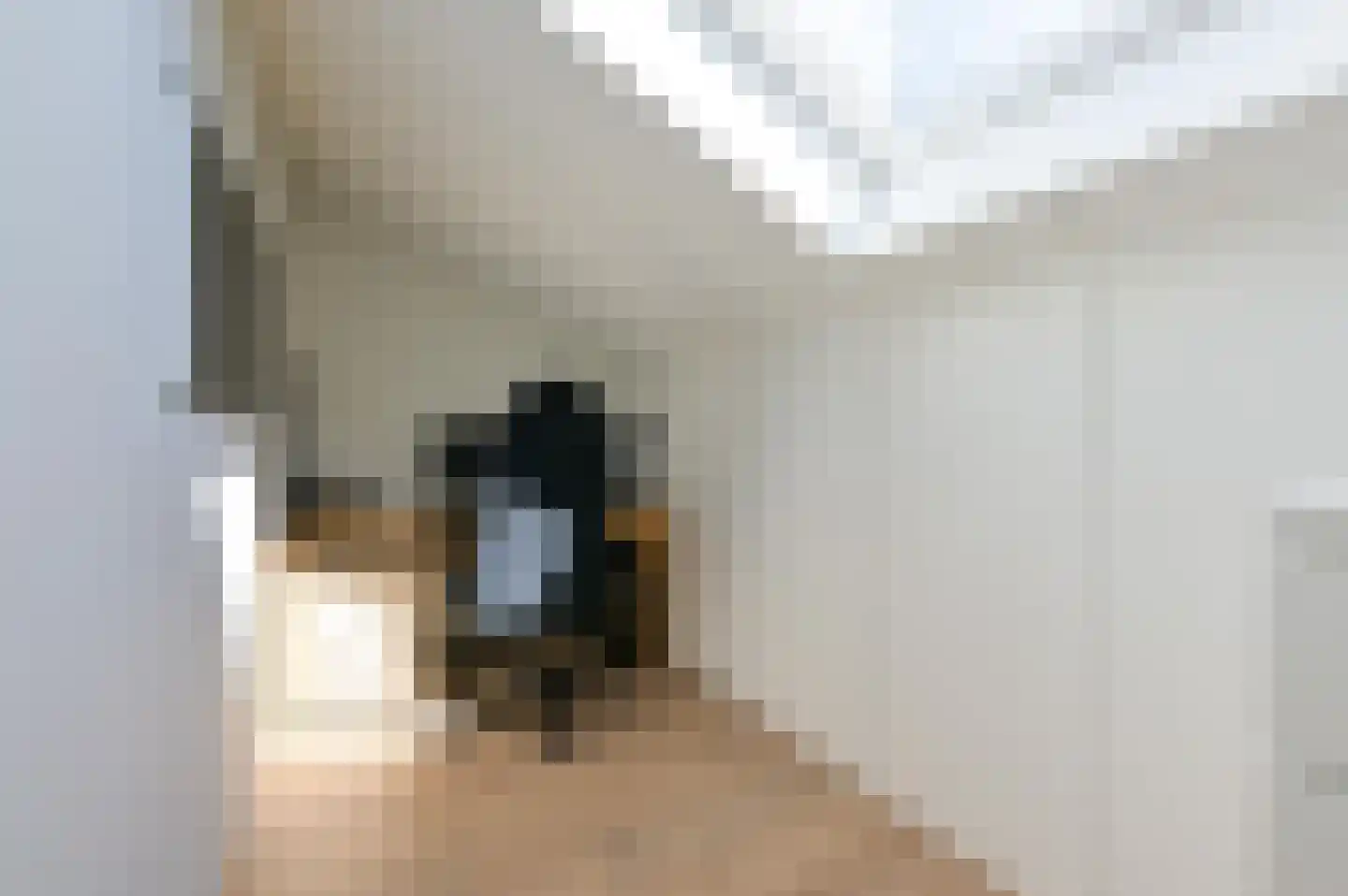 Hazenduinen 16 Zeewolde thumbnail 14
