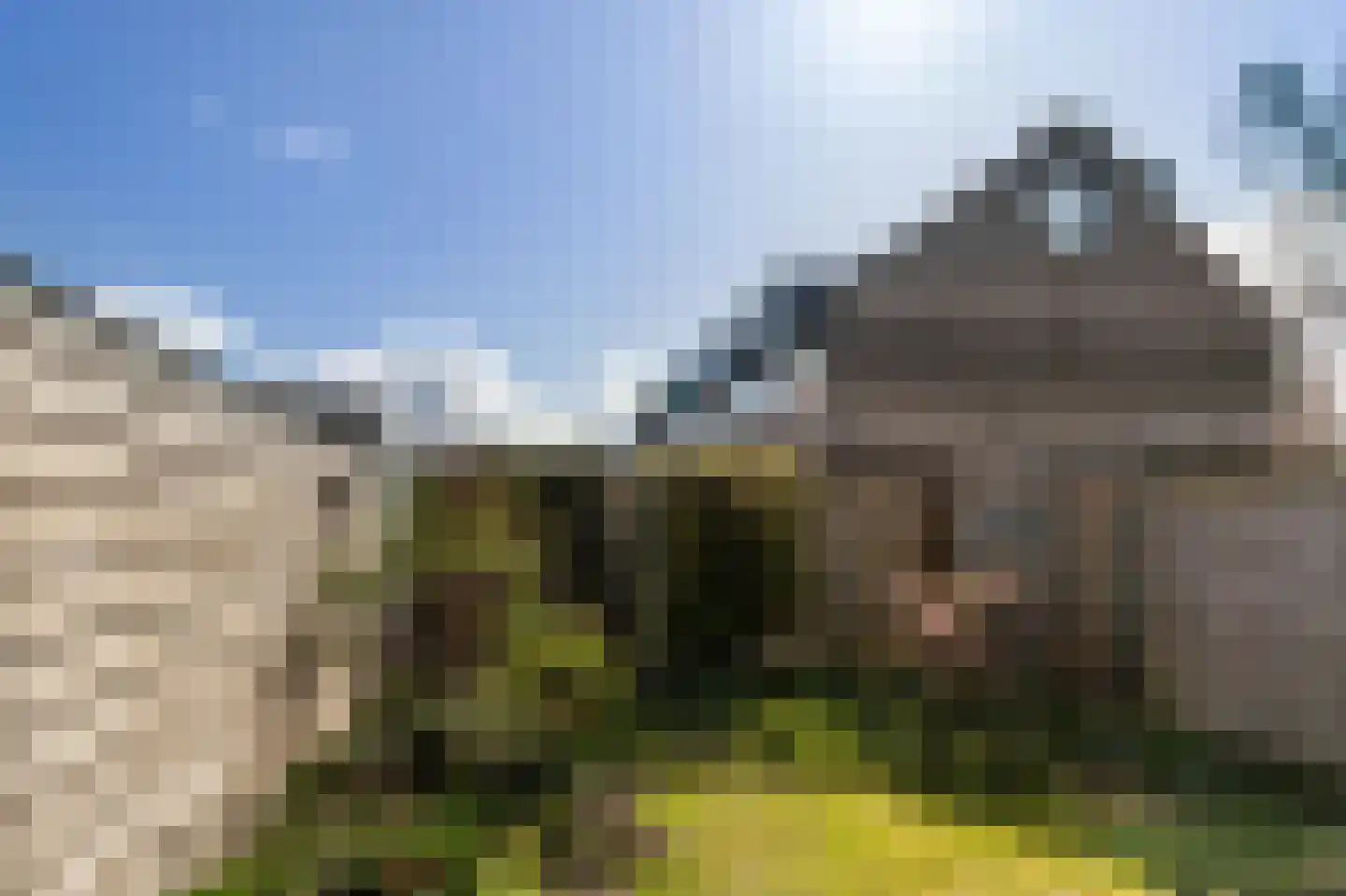 Hazenest 10 Kortenhoef thumbnail 20