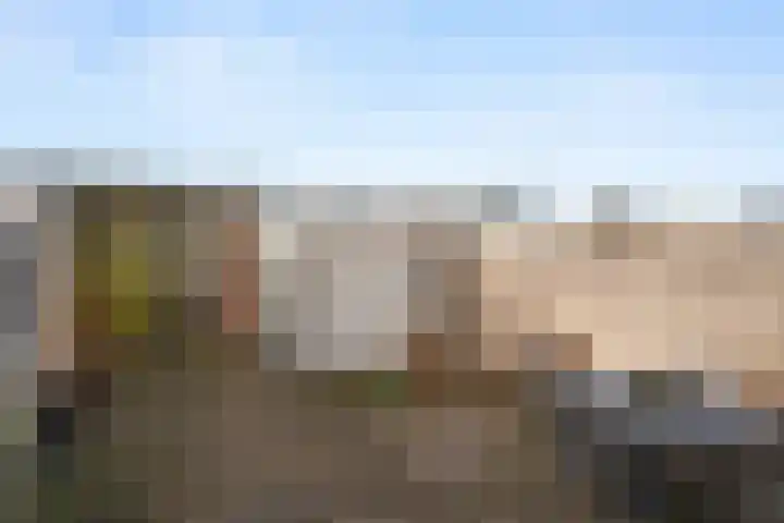 Hazenhoeve 47 Bennekom thumbnail 25