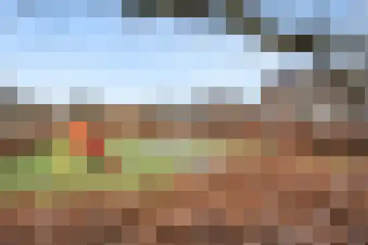 Hazenhoeve 47 Bennekom thumbnail 28