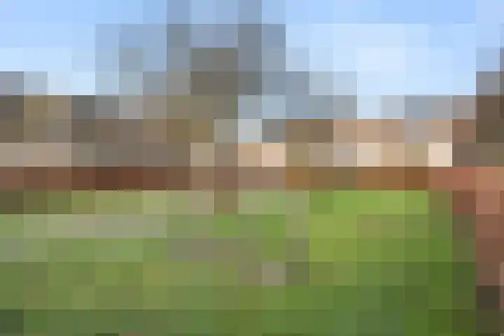 Hazenhoeve 47 Bennekom thumbnail 29