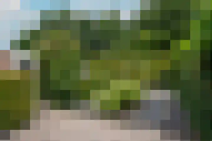 Hazenhoeve 50 Bennekom thumbnail 20