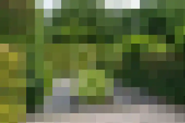 Hazenhoeve 50 Bennekom thumbnail 21
