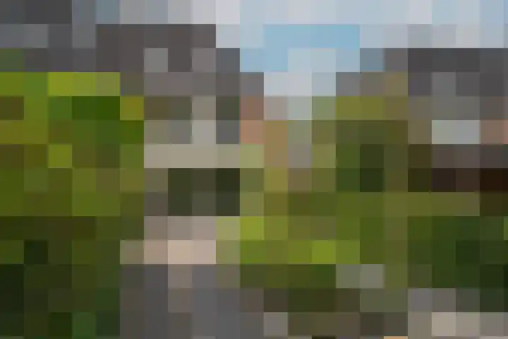Hazenhoeve 50 Bennekom thumbnail 24
