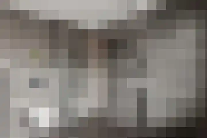 Hazenhoeve 50 Bennekom thumbnail 31