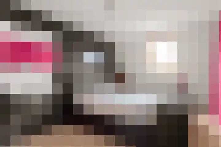 Hazenhoeve 50 Bennekom thumbnail 39