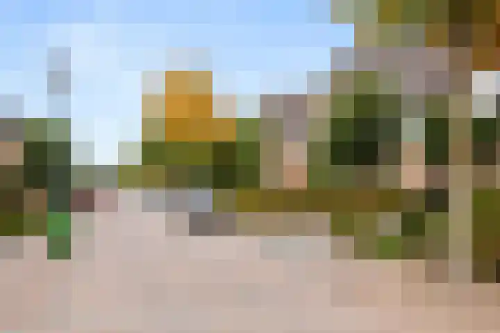 Hazenhoeve 50 Bennekom thumbnail 42