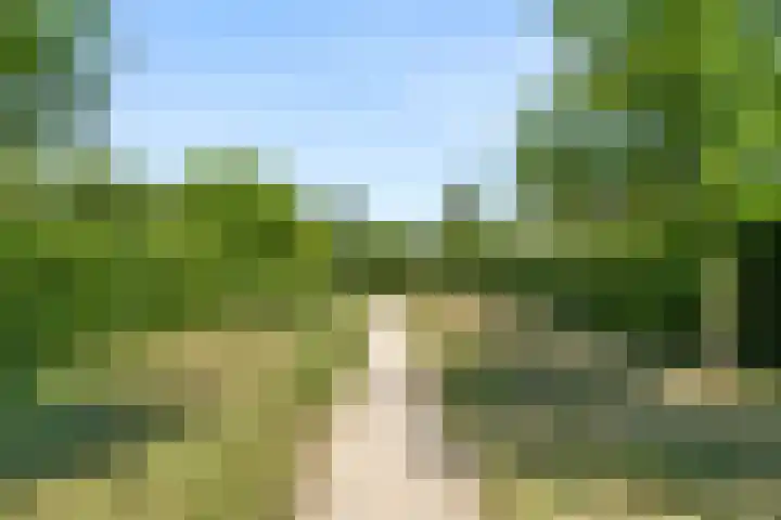 Hazenhoeve 99 Bennekom thumbnail 10