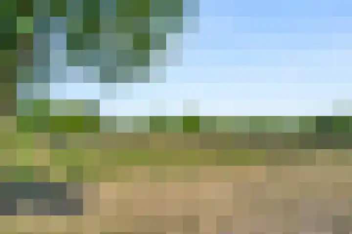 Hazenhoeve 99 Bennekom thumbnail 11