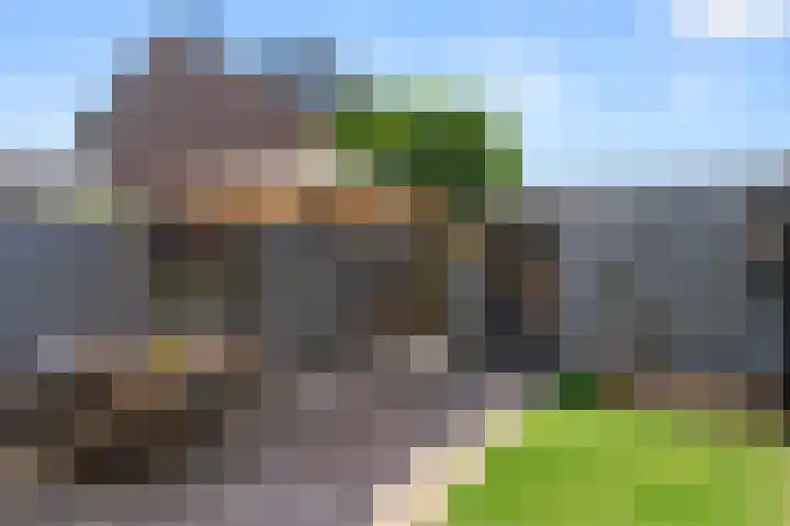 Hazenhoeve 99 Bennekom thumbnail 14