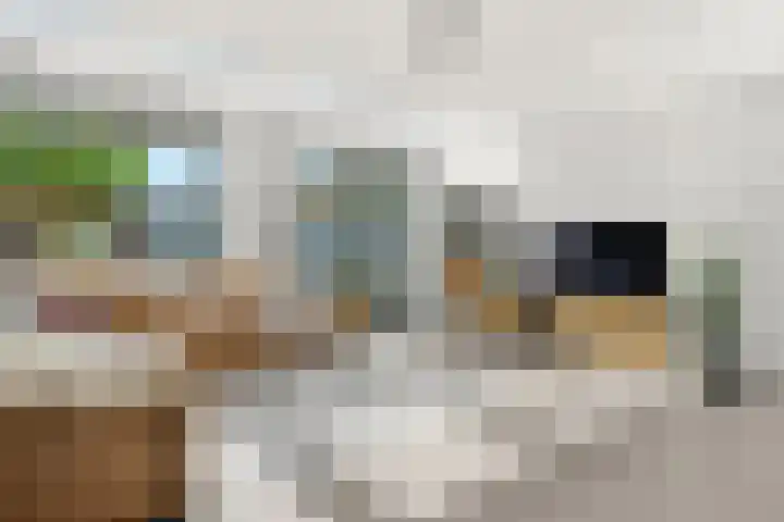 Hazenhoeve 99 Bennekom thumbnail 23