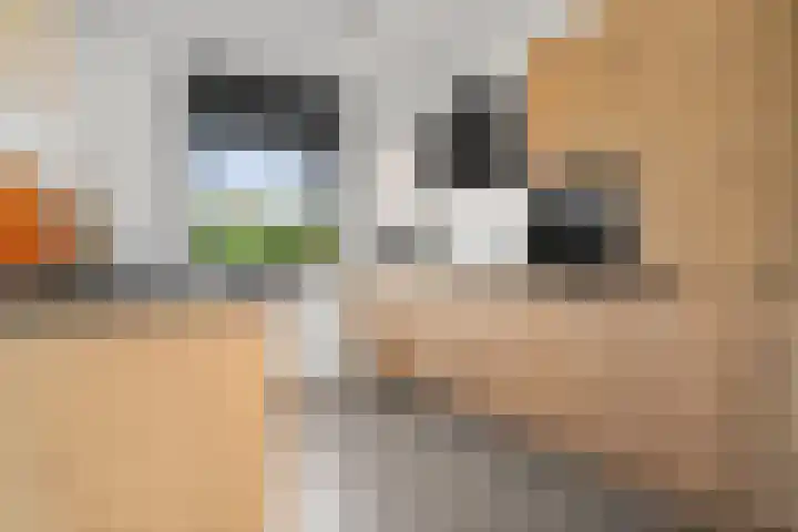 Hazenhoeve 99 Bennekom thumbnail 27